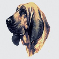 Bloodhound Short-Sleeved T-Shirt