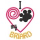 Briard 