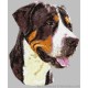 Dog Gifts by Breed